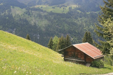 Ferienhaus am Berg