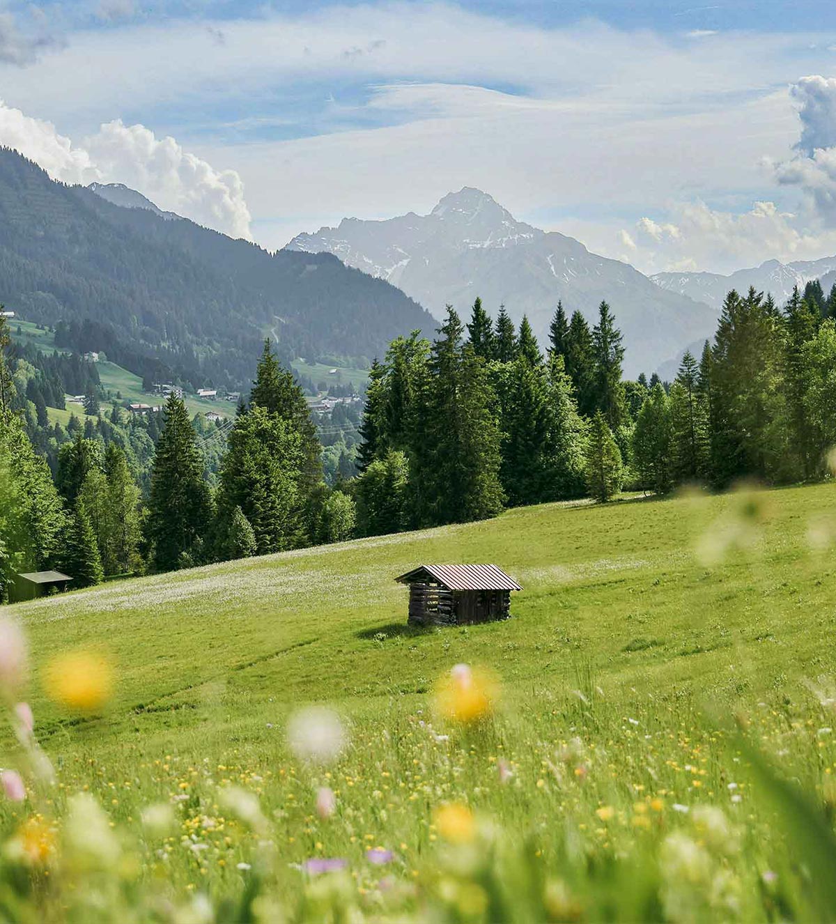 Vital Camp Schaugelände Weitnau Allgäu Landschaft