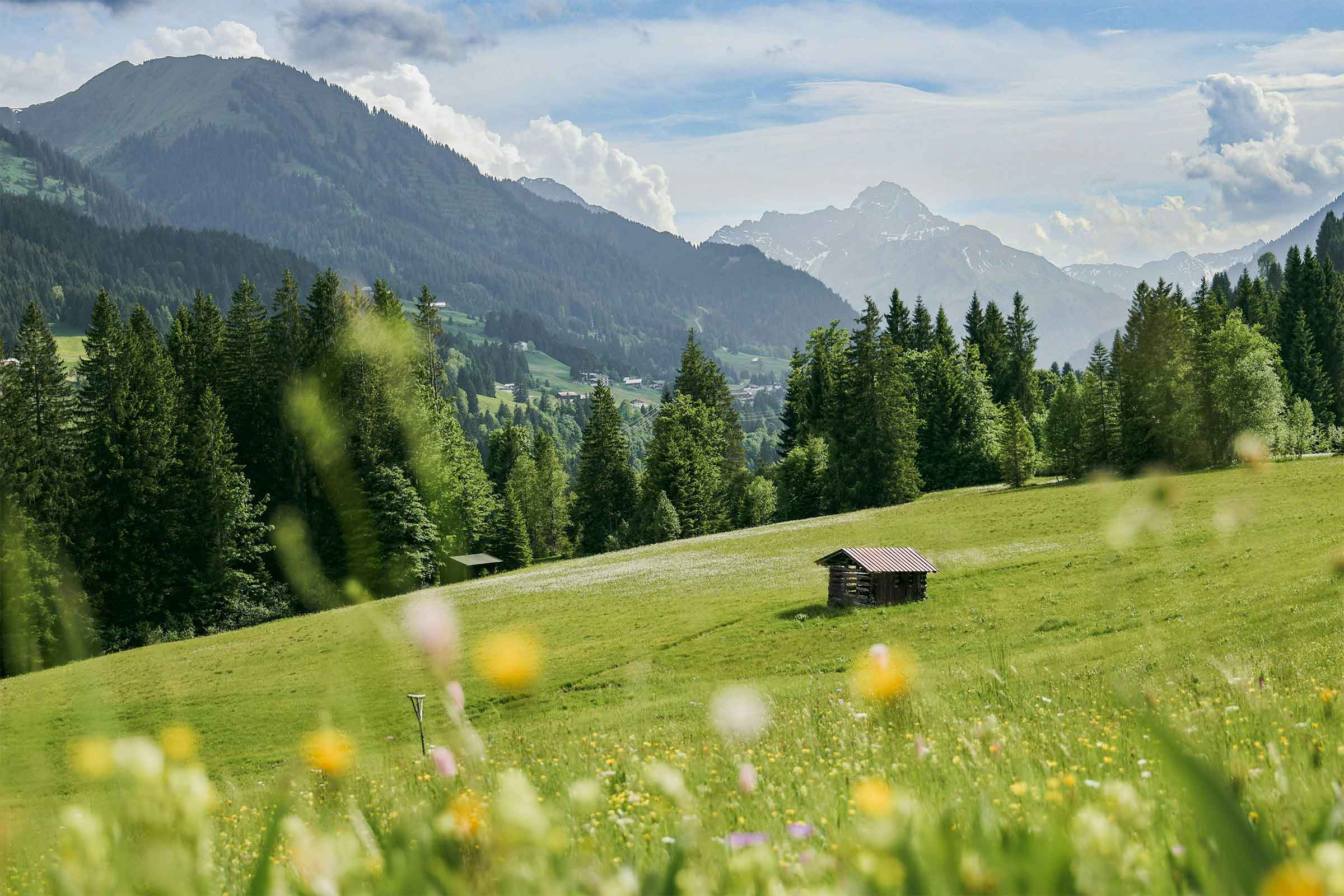 Weitnau